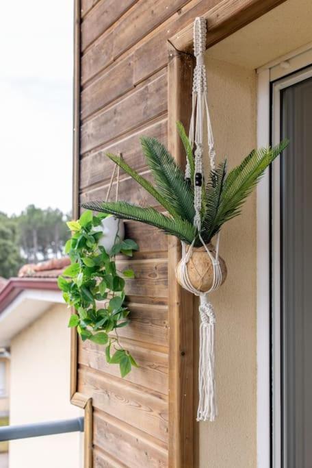 Appartement Des Grands Lacs Sanguinet Exterior photo